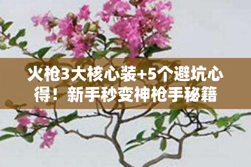新手秒变神枪手秘籍图片
