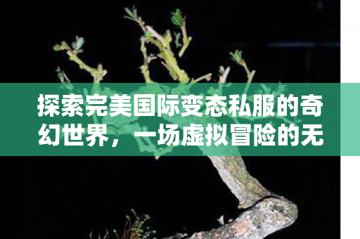 探索完美国际变态私服的奇幻世界,一场虚拟冒险的无限可能,探索完美国际私服,虚拟冒险的无限可能 探索完美国际变态私服的奇幻世界,一场虚拟冒险的无限可能,探索完美国际私服,虚拟冒险的无限可能