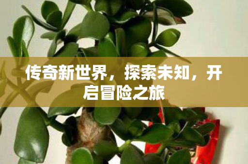 开启冒险之旅图片