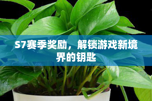 解锁游戏新境界的钥匙图片
