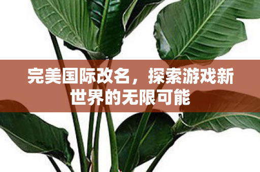 探索游戏新世界的无限可能图片