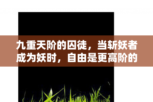 自由是更高阶的诅咒图片