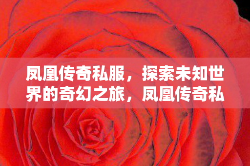 凤凰传奇私服,探索未知世界的奇幻之旅,凤凰传奇私服,开启奇幻冒险之旅 凤凰传奇私服,探索未知世界的奇幻之旅,凤凰传奇私服,开启奇幻冒险之旅