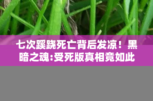七次蹊跷死亡背后发凉图片