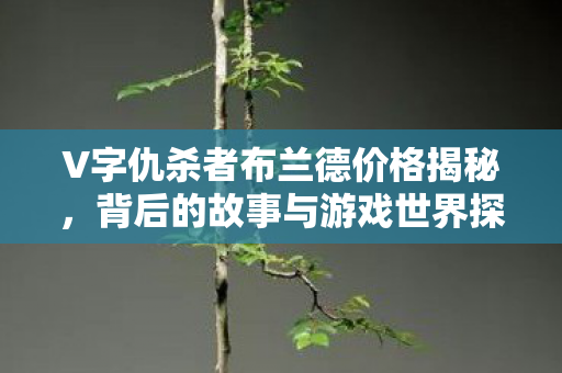 V字仇杀者布兰德价格揭秘图片