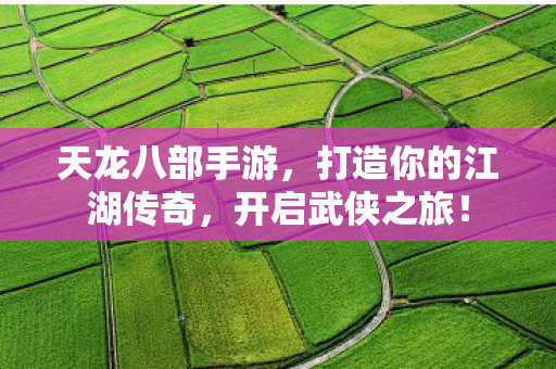 打造你的江湖传奇图片