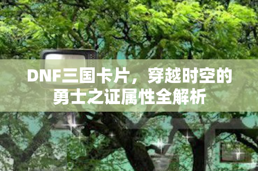 穿越时空的勇士之证属性全解析图片