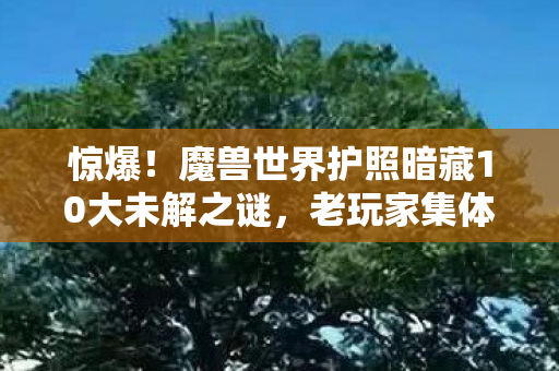 魔兽世界护照暗藏10大未解之谜图片