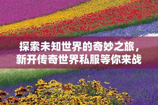 新开传奇世界私服等你来战图片