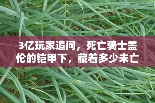 死亡骑士盖伦的铠甲下图片