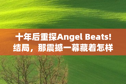 十年后重探Angel Beats图片