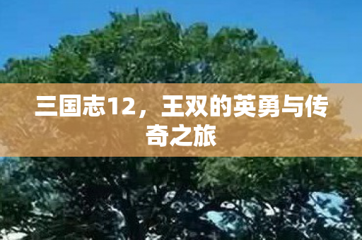 王双的英勇与传奇之旅图片