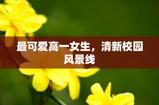 最可爱高一女生图片