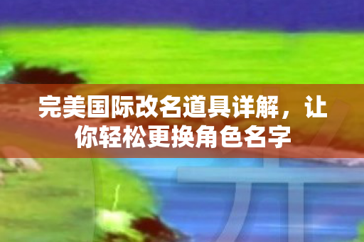 完美国际改名道具详解图片