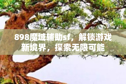 898魔域辅助sf图片