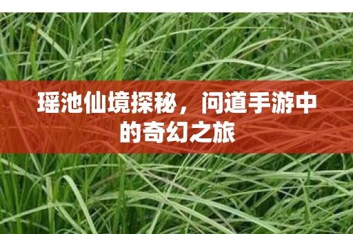 问道手游中的奇幻之旅图片