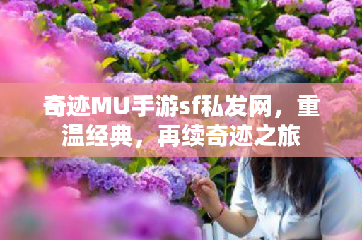 奇迹MU手游sf私发网图片