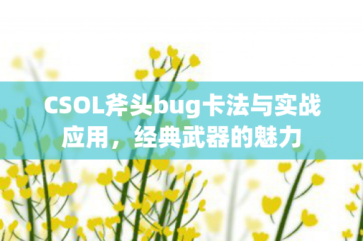 CSOL斧头bug卡法与实战应用图片