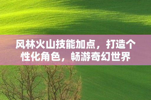 风林火山技能加点图片