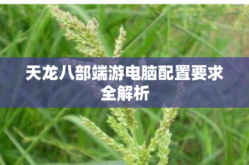 天龙八部端游电脑配置要求全解析图片