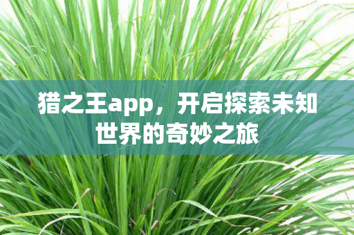 开启探索未知世界的奇妙之旅图片