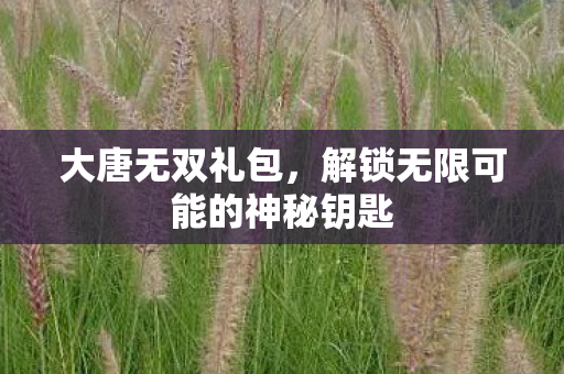 解锁无限可能的神秘钥匙图片
