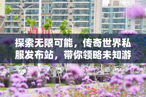 带你领略未知游戏世界的奥秘图片