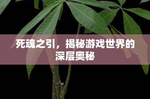 揭秘游戏世界的深层奥秘图片