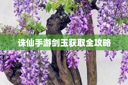 诛仙手游剑玉获取全攻略图片