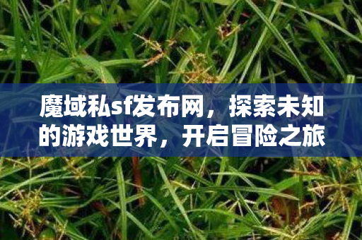 探索未知的游戏世界图片