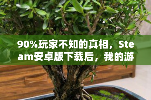 90%玩家不知的真相，Steam安卓版下载后，我的游戏人生裂开了