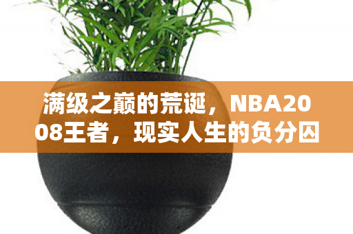 NBA2008王者图片