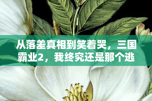 我终究还是那个逃不掉的囚徒图片