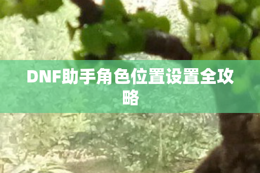 DNF助手角色位置设置全攻略图片