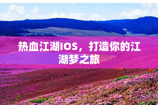 打造你的江湖梦之旅图片