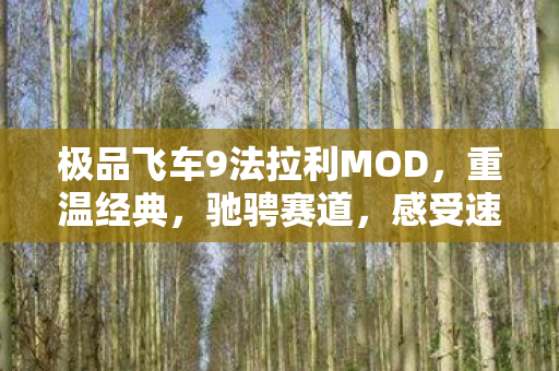 极品飞车9法拉利MOD图片