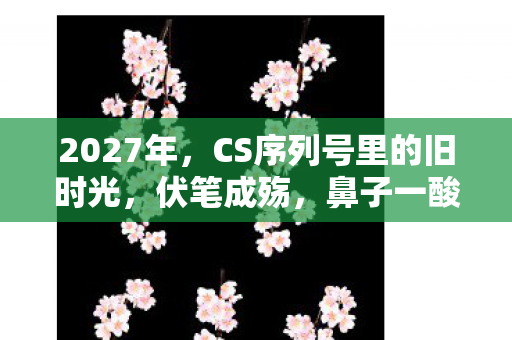 CS序列号里的旧时光图片