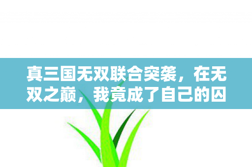真三国无双联合突袭,在无双之巅,我竟成了自己的囚徒 真三国无双联合突袭,在无双之巅,我竟成了自己的囚徒