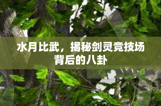 揭秘剑灵竞技场背后的八卦图片