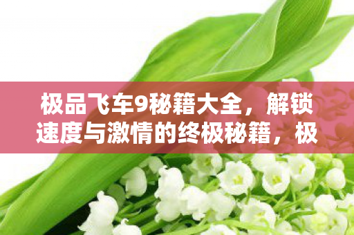 解锁速度与激情的终极秘籍图片