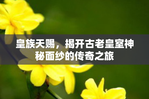 揭开古老皇室神秘面纱的传奇之旅图片