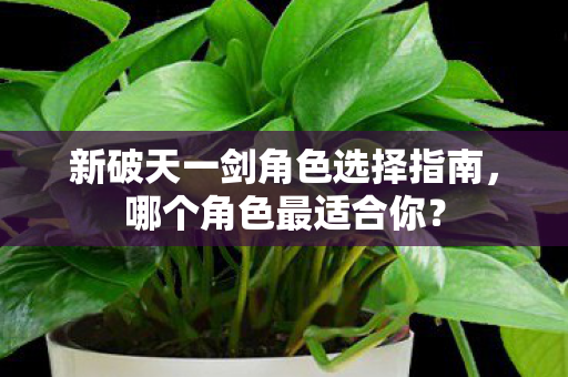 新破天一剑角色选择指南图片