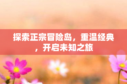 探索正宗冒险岛图片