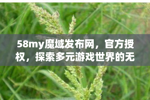 探索多元游戏世界的无限可能图片