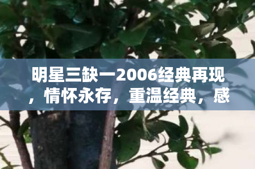 明星三缺一2006经典再现图片