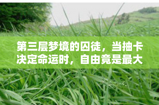 第三层梦境的囚徒,当抽卡决定命运时,自由竟是最大的谎言 第三层梦境的囚徒,当抽卡决定命运时,自由竟是最大的谎言