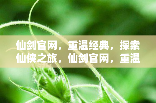 仙剑官网,重温经典,探索仙侠之旅,仙剑官网,重温经典,探索仙侠之旅 仙剑官网,重温经典,探索仙侠之旅,仙剑官网,重温经典,探索仙侠之旅