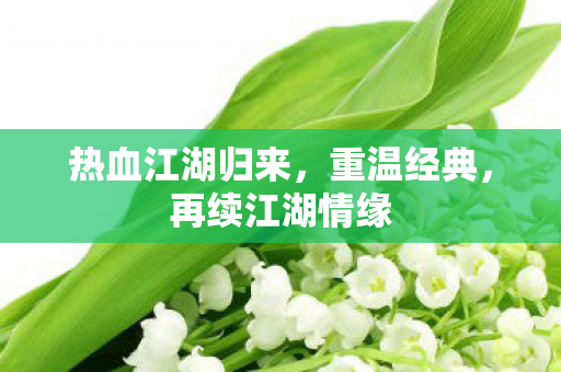 热血江湖归来图片