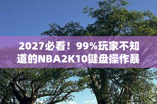 玩家不知道的NBA2K10键盘操作暴爽心得图片