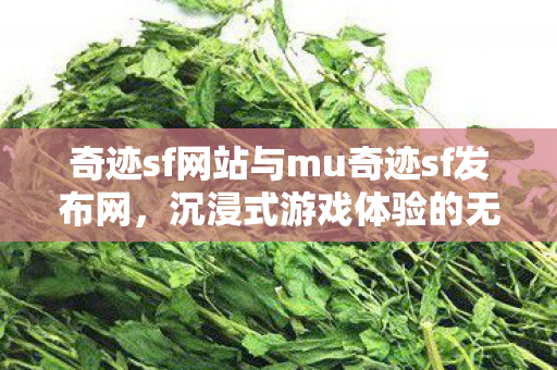 奇迹sf网站与mu奇迹sf发布网图片